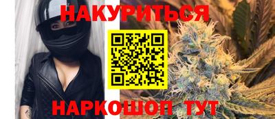 гидра Нальчик