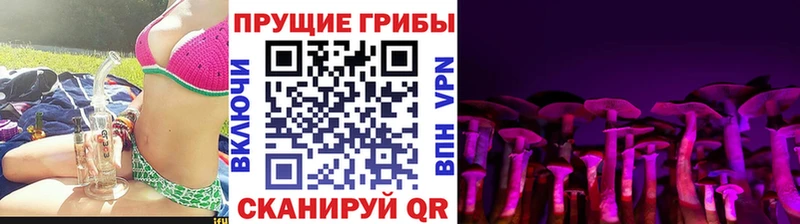 что такое   Карпинск  Галлюциногенные грибы прущие грибы 