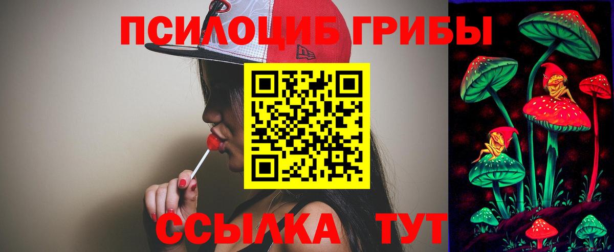 Галлюциногенные грибы Psilocybine cubensis Карпинск